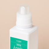 TATRAS 別注 ランドリーディータジェント sencha アップ