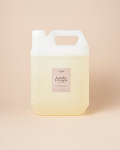 ランドリーディタージェント フレグランスフリー　4L